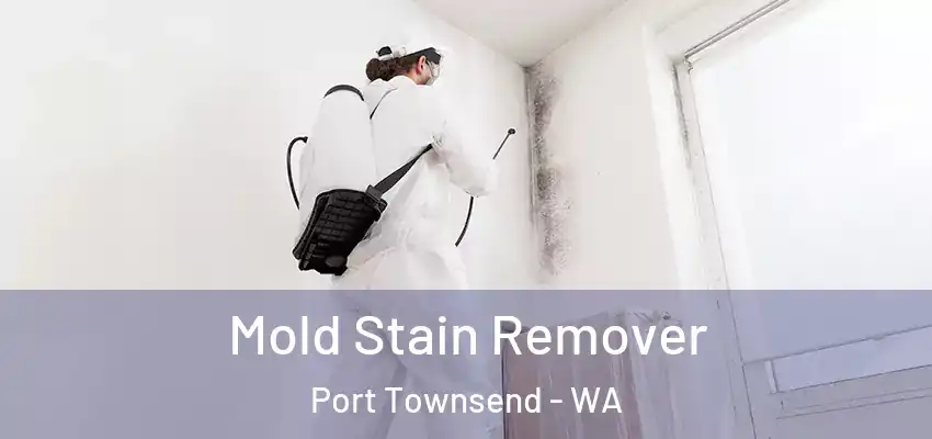  Mold Stain Remover Port Townsend - WA