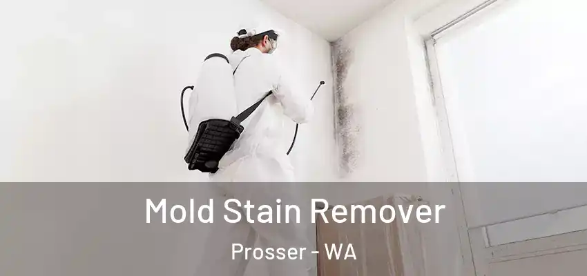  Mold Stain Remover Prosser - WA