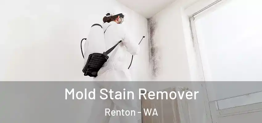  Mold Stain Remover Renton - WA