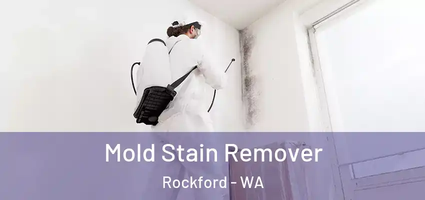  Mold Stain Remover Rockford - WA