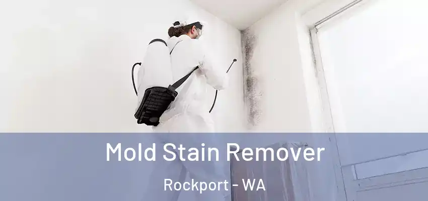  Mold Stain Remover Rockport - WA
