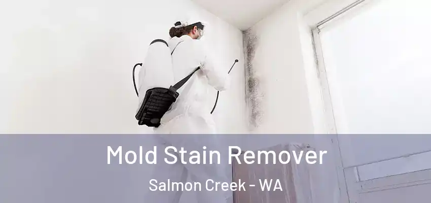 Mold Stain Remover Salmon Creek - WA