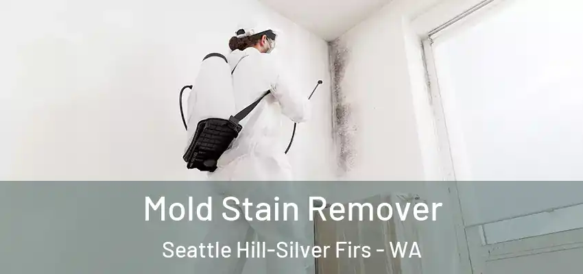 Mold Stain Remover Seattle Hill-Silver Firs - WA