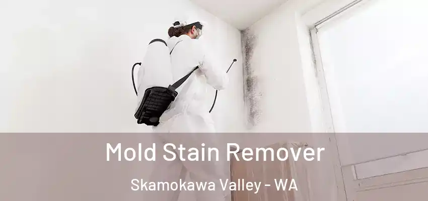 Mold Stain Remover Skamokawa Valley - WA
