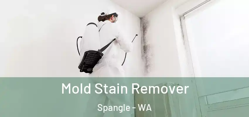  Mold Stain Remover Spangle - WA