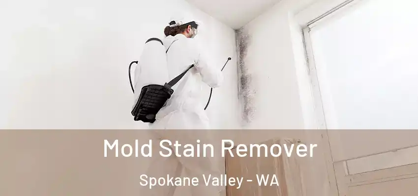  Mold Stain Remover Spokane Valley - WA