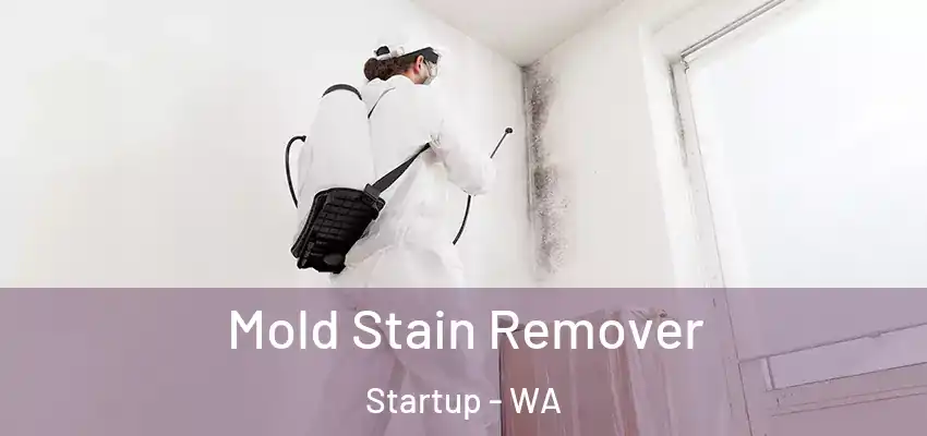  Mold Stain Remover Startup - WA