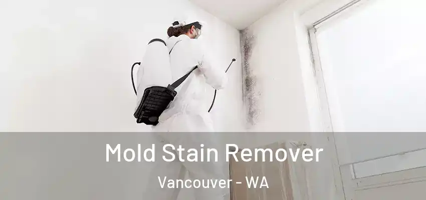  Mold Stain Remover Vancouver - WA