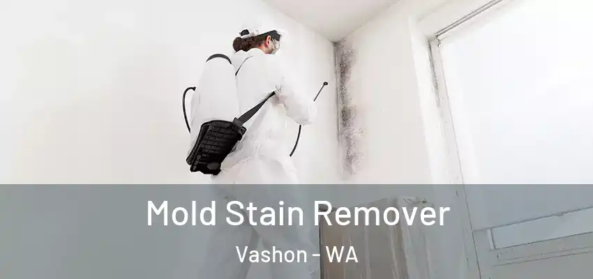  Mold Stain Remover Vashon - WA