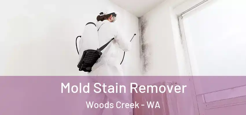  Mold Stain Remover Woods Creek - WA