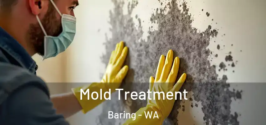  Mold Treatment Baring - WA