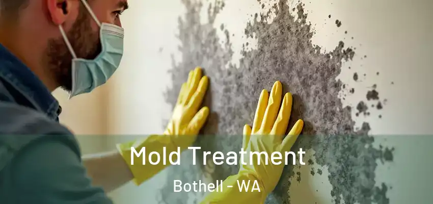  Mold Treatment Bothell - WA