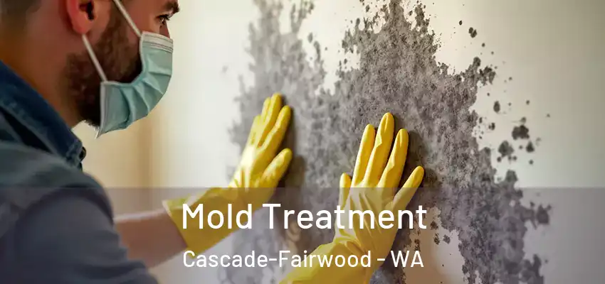  Mold Treatment Cascade-Fairwood - WA