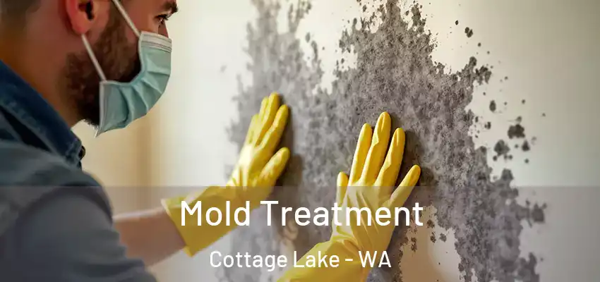  Mold Treatment Cottage Lake - WA
