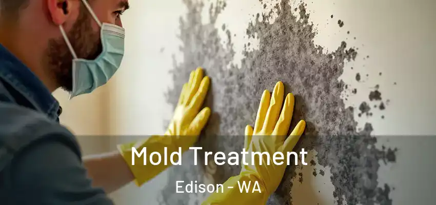 Mold Treatment Edison - WA
