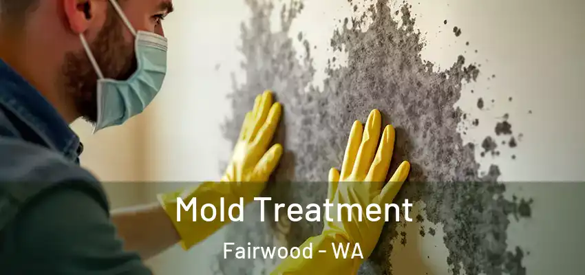  Mold Treatment Fairwood - WA