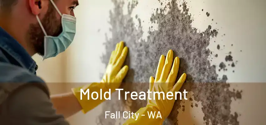  Mold Treatment Fall City - WA