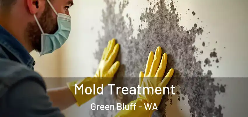  Mold Treatment Green Bluff - WA