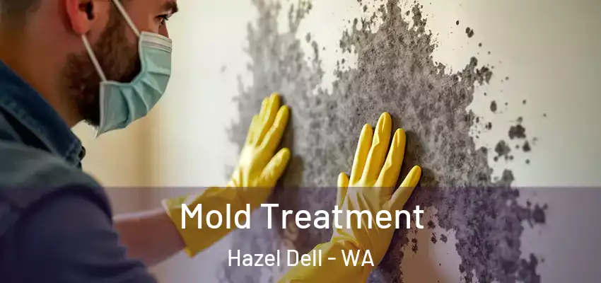  Mold Treatment Hazel Dell - WA
