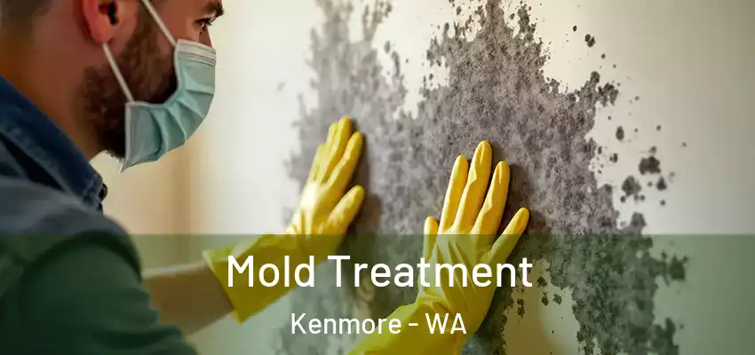  Mold Treatment Kenmore - WA