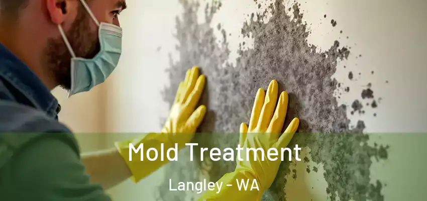 Mold Treatment Langley - WA