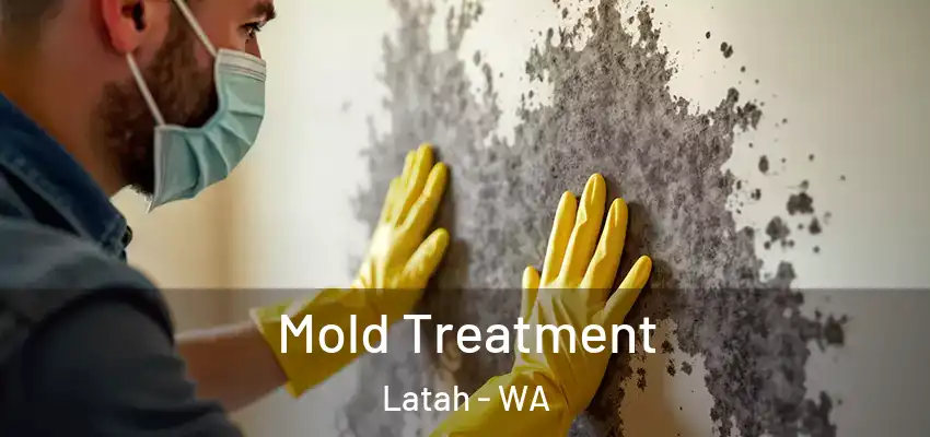  Mold Treatment Latah - WA