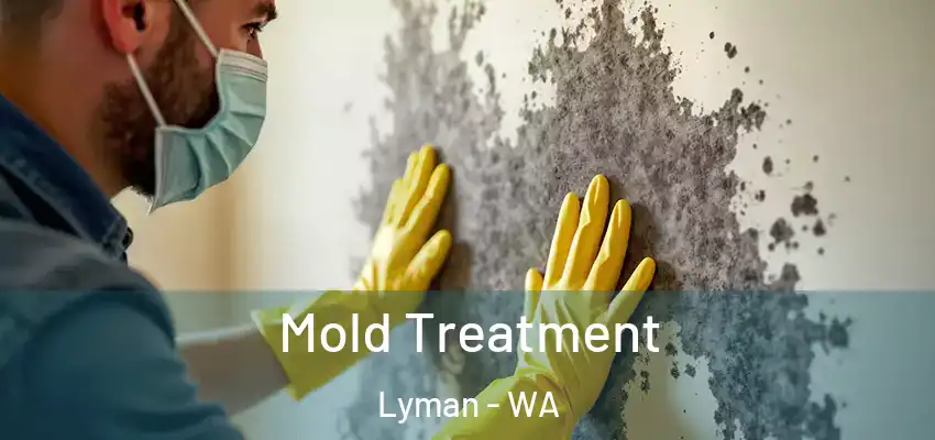 Mold Treatment Lyman - WA