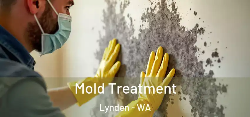  Mold Treatment Lynden - WA