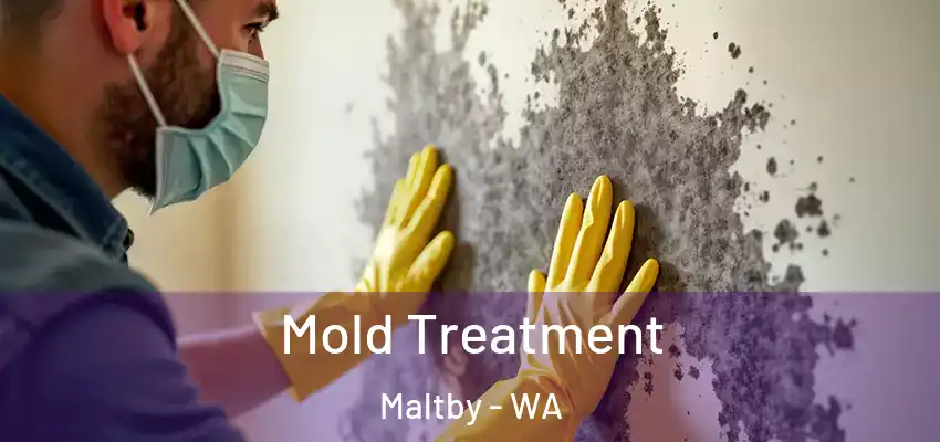  Mold Treatment Maltby - WA