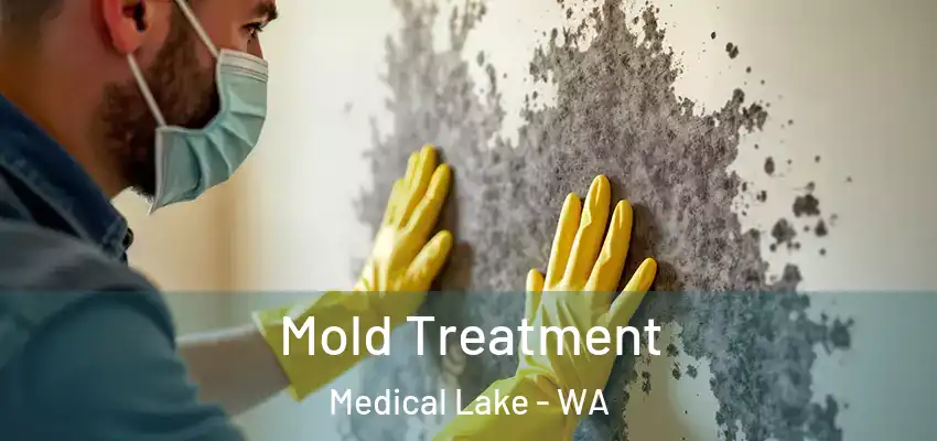  Mold Treatment Medical Lake - WA