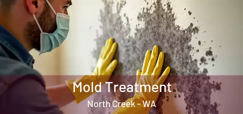  Mold Treatment North Creek - WA