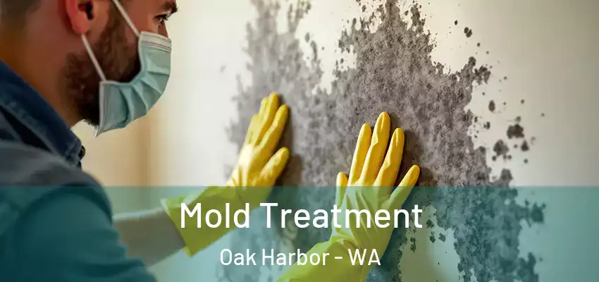  Mold Treatment Oak Harbor - WA