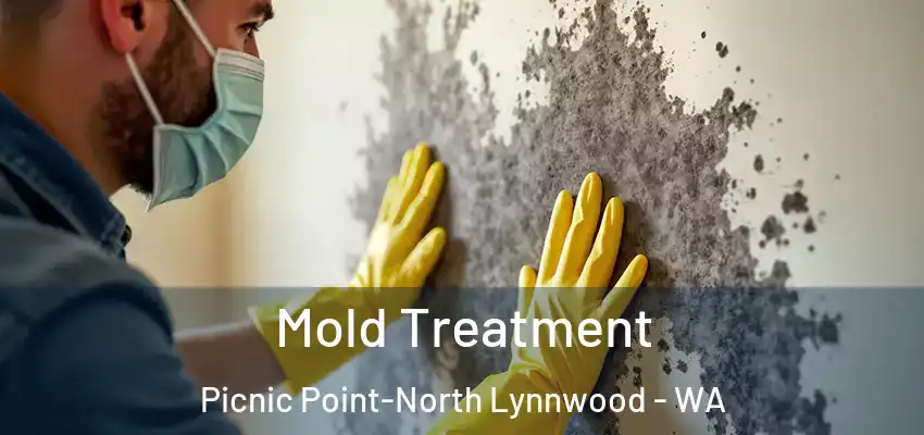  Mold Treatment Picnic Point-North Lynnwood - WA