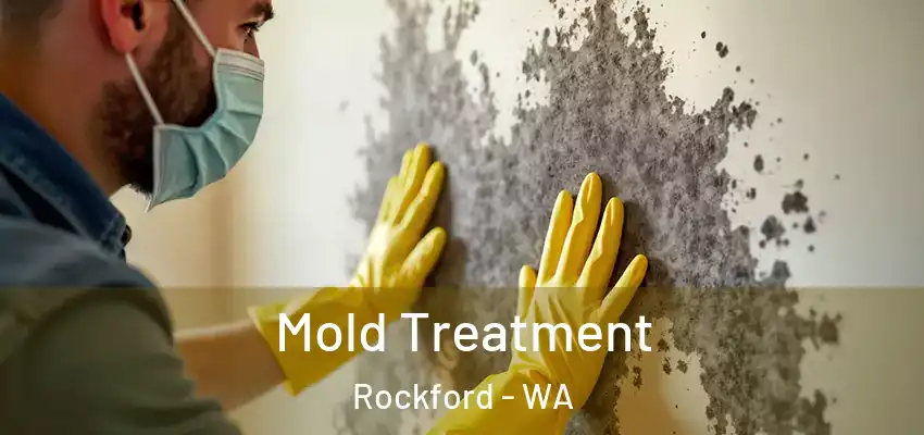  Mold Treatment Rockford - WA