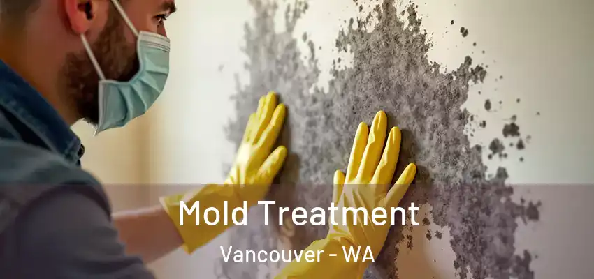  Mold Treatment Vancouver - WA