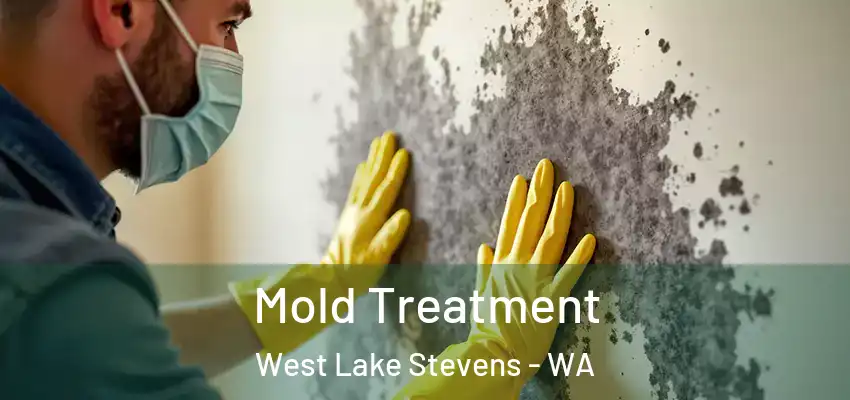  Mold Treatment West Lake Stevens - WA
