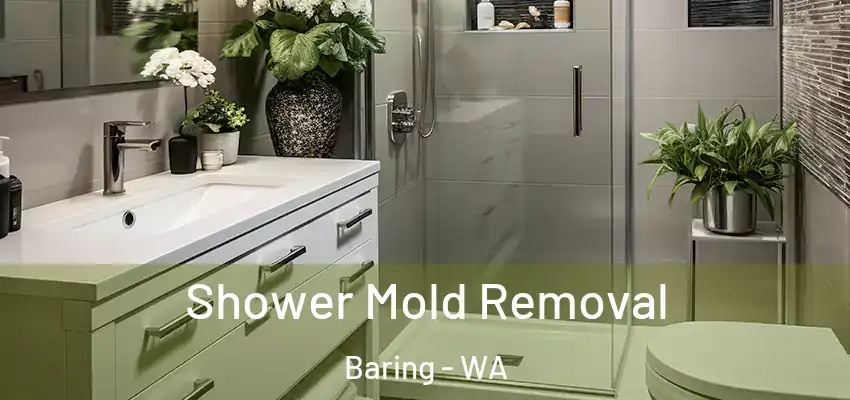  Shower Mold Removal Baring - WA