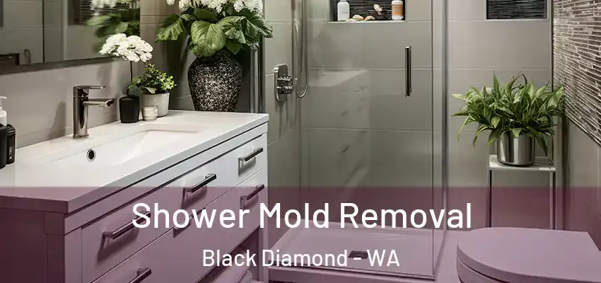  Shower Mold Removal Black Diamond - WA