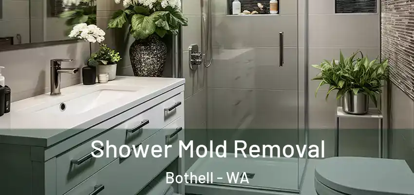 Shower Mold Removal Bothell - WA
