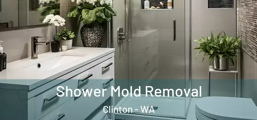 Shower Mold Removal Clinton - WA