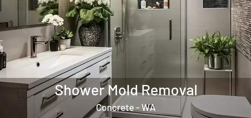  Shower Mold Removal Concrete - WA