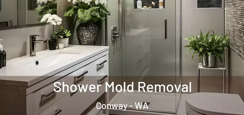  Shower Mold Removal Conway - WA