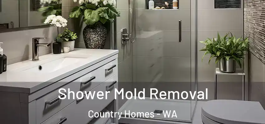  Shower Mold Removal Country Homes - WA
