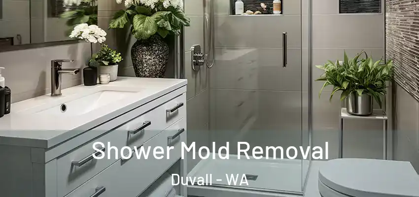 Shower Mold Removal Duvall - WA