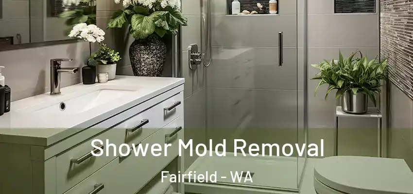 Shower Mold Removal Fairfield - WA