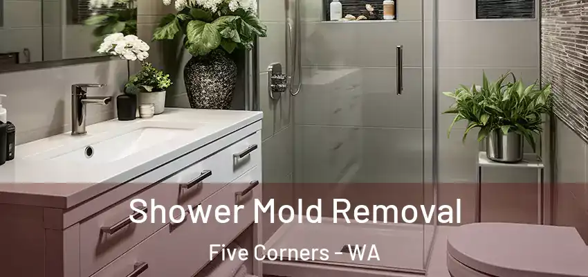 Shower Mold Removal Five Corners - WA