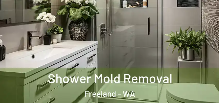  Shower Mold Removal Freeland - WA