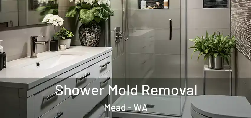 Shower Mold Removal Mead - WA
