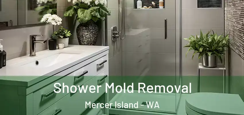 Shower Mold Removal Mercer Island - WA