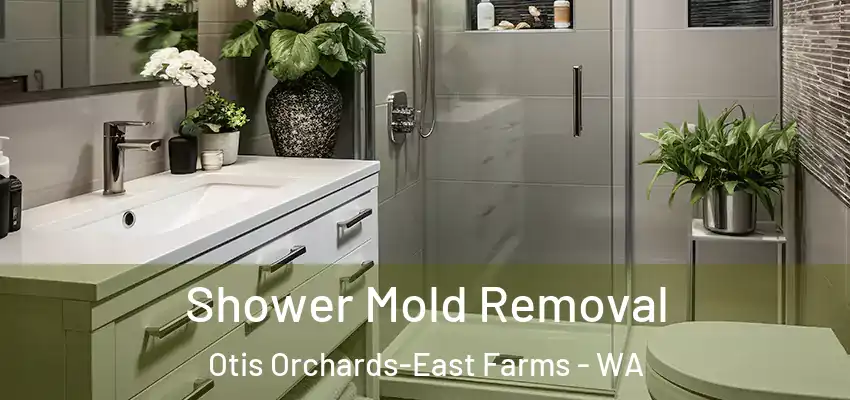  Shower Mold Removal Otis Orchards-East Farms - WA